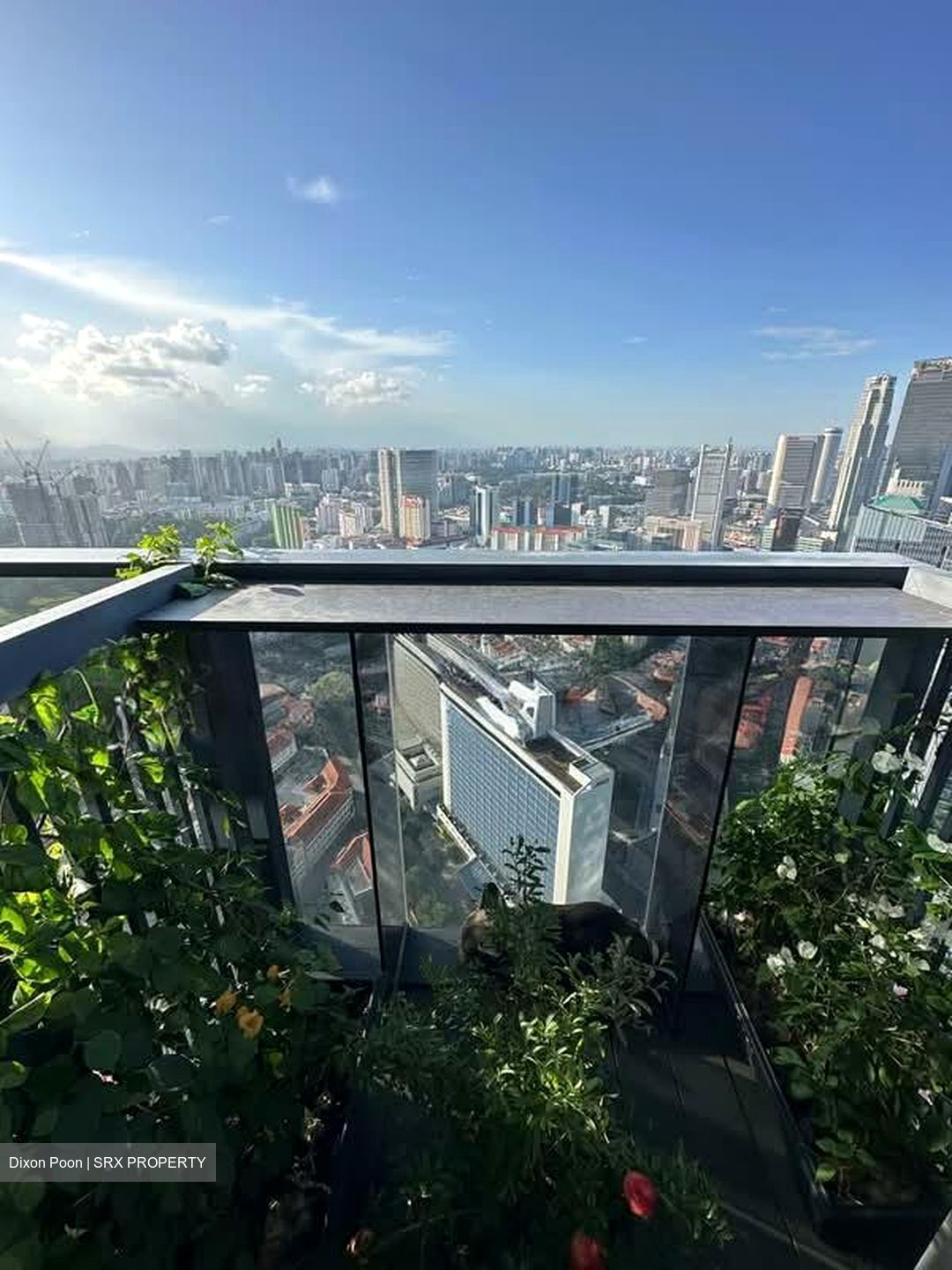 Wallich Residence  (D2), Condominium #555723271